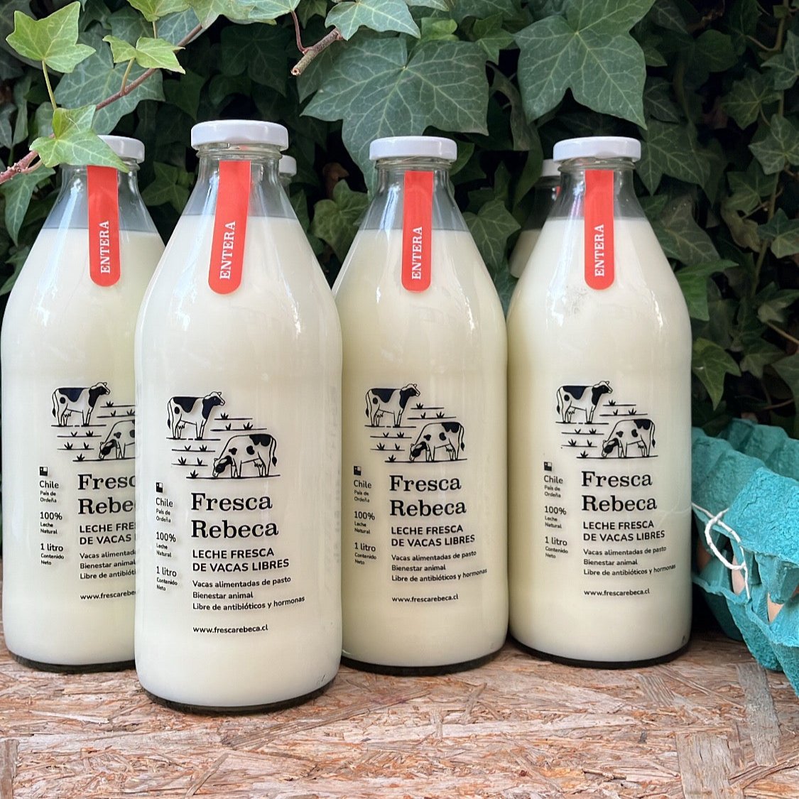 Leche Fresca (1lt)