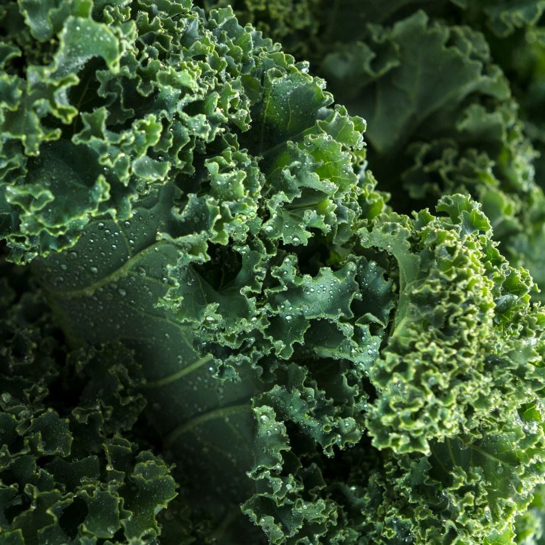 Kale (150 g)