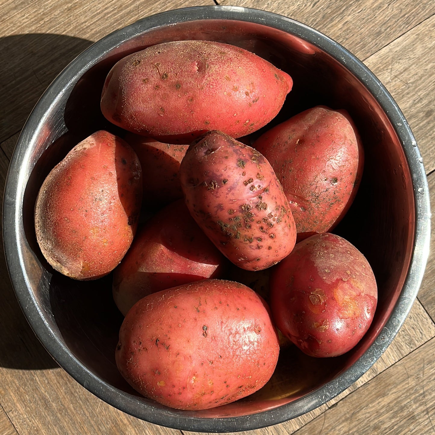 Papa Patagona (1 kg)