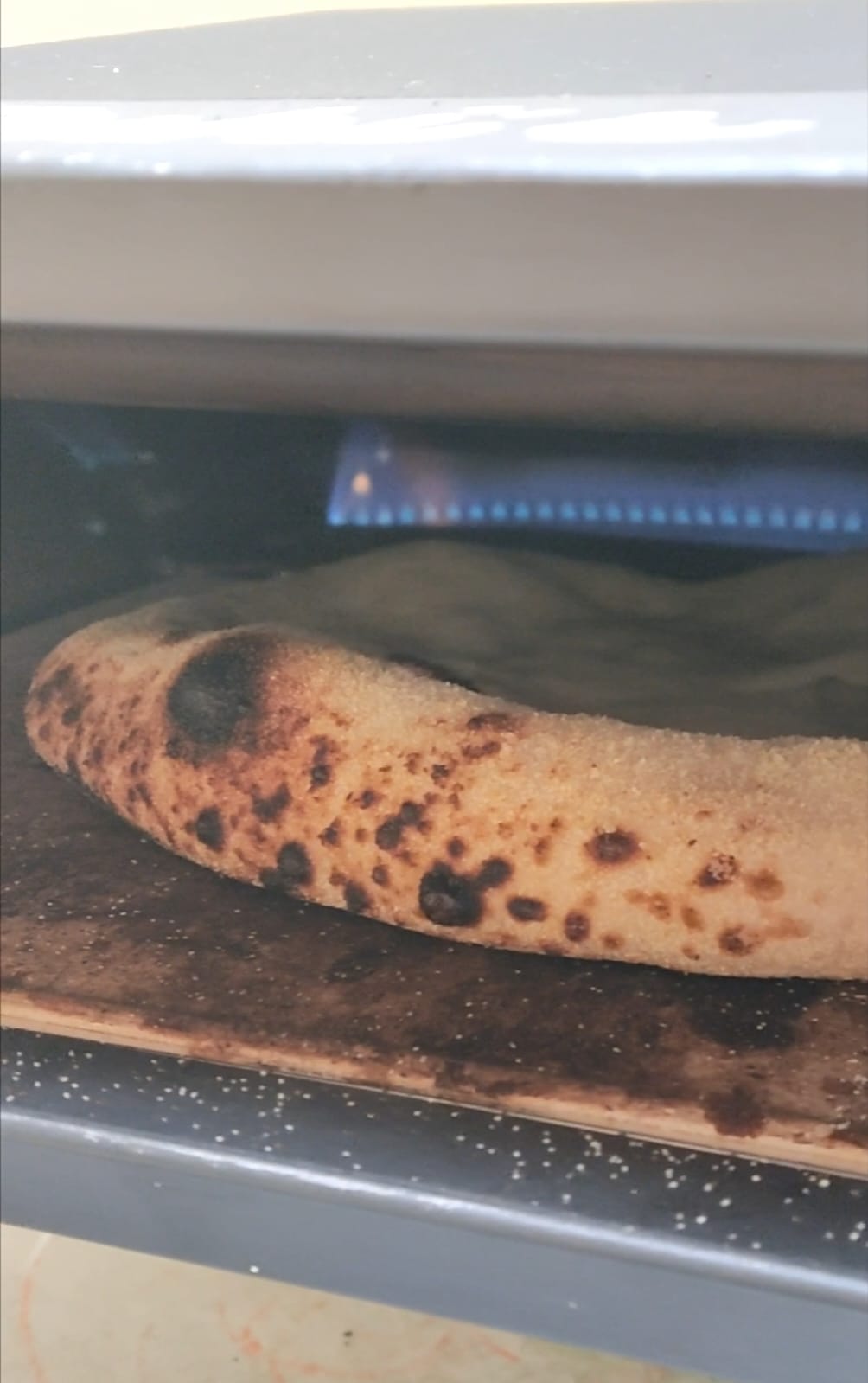 Masa de Pizza (u)