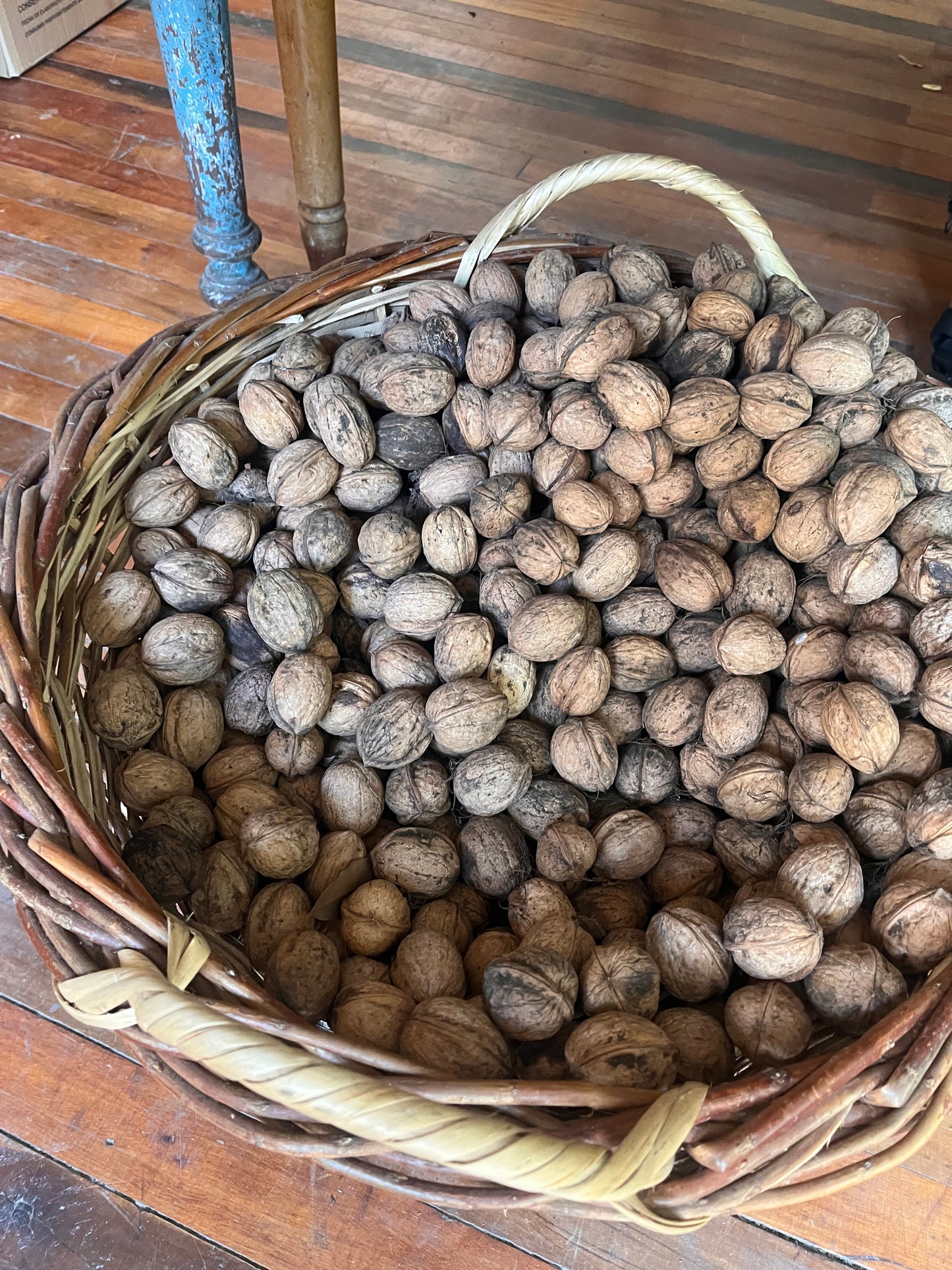 Nuez con cáscara (1kg)
