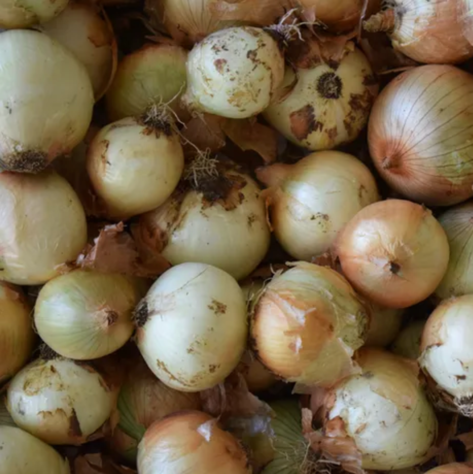 Cebolla (1 kg)