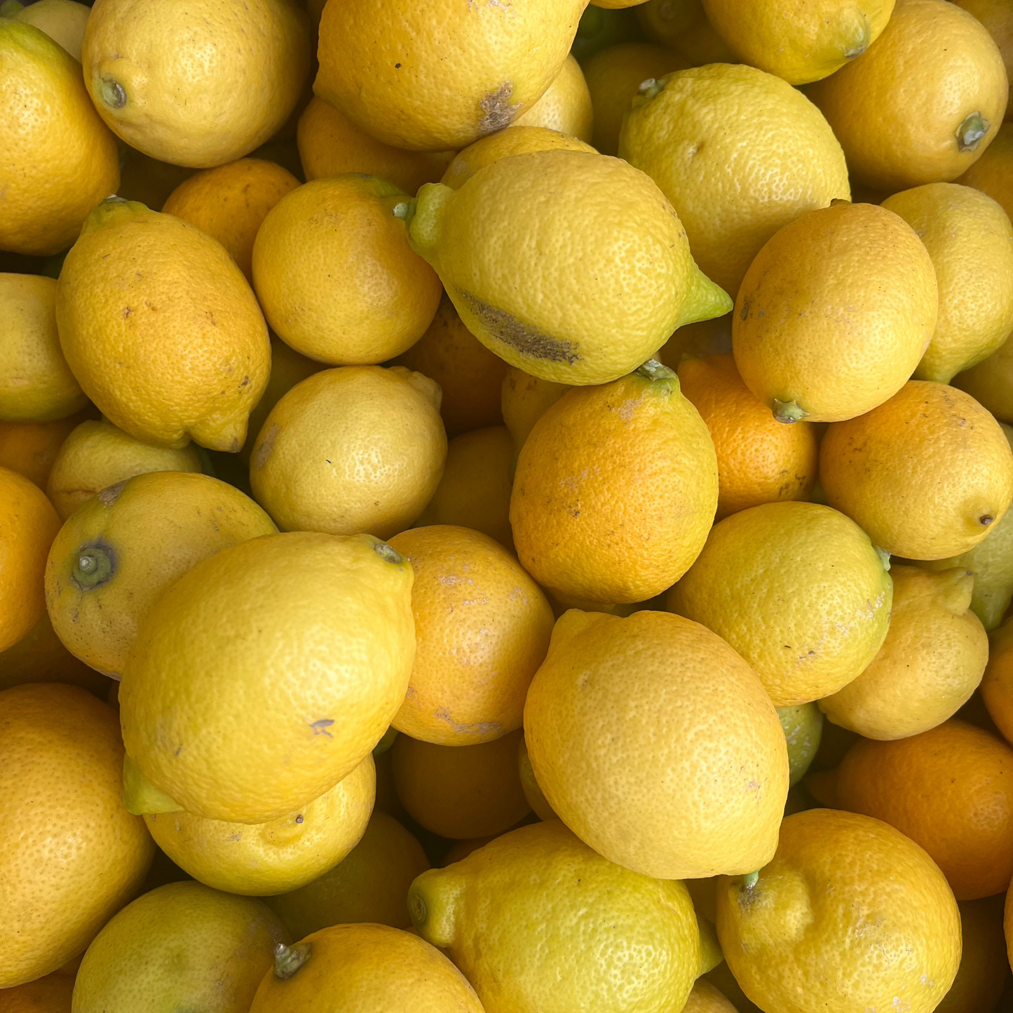 Limón (500g)