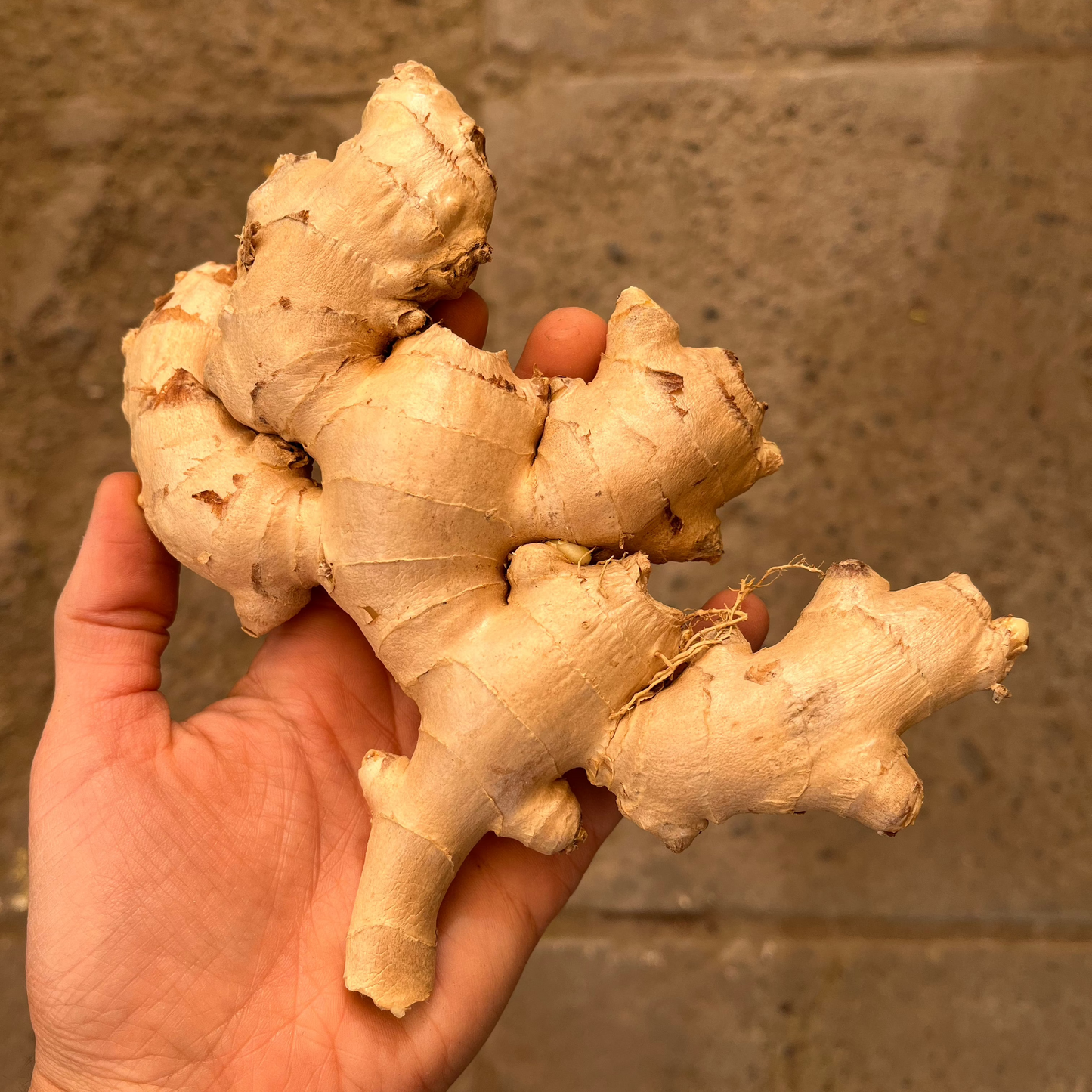 Jengibre (100g)