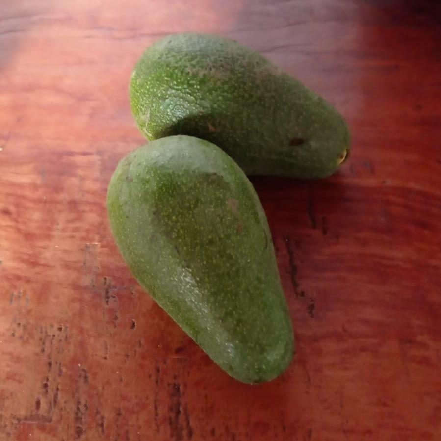 Palta Californiana (2kg)