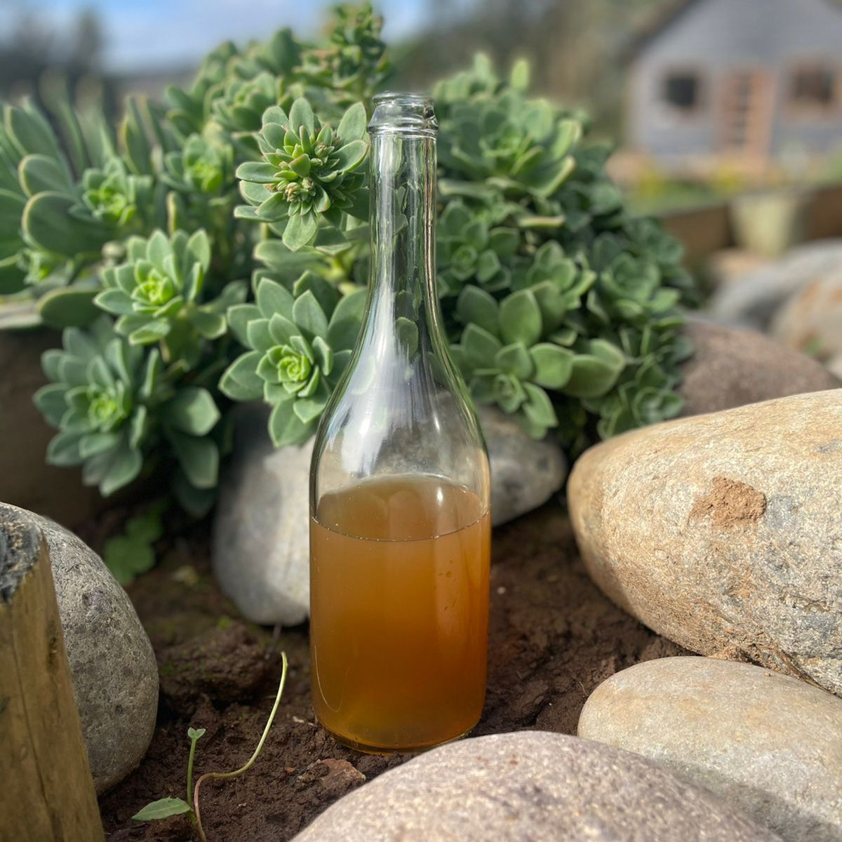 Vinagre de manzana orgánico (475ml)