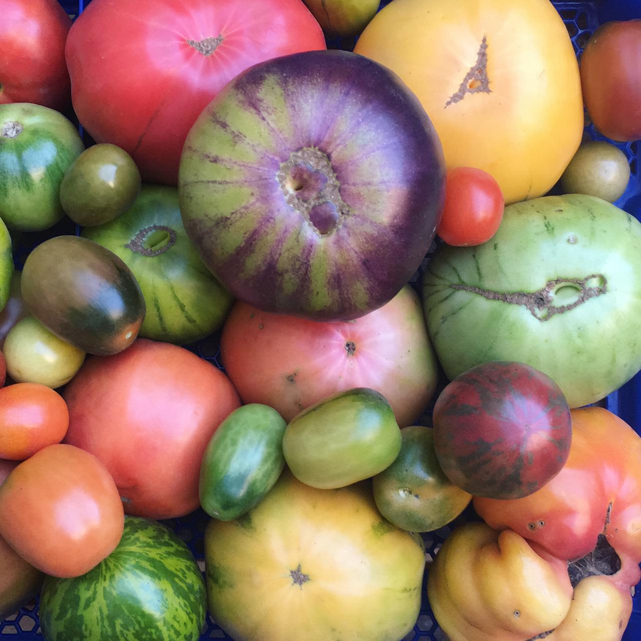 Tomate Ancestral (500gr)