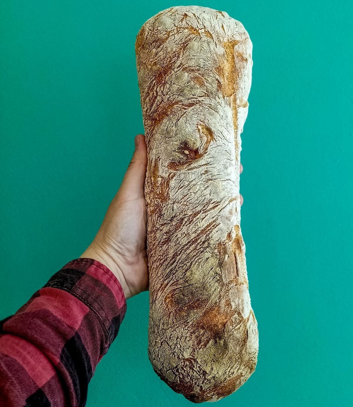 Ciabatta