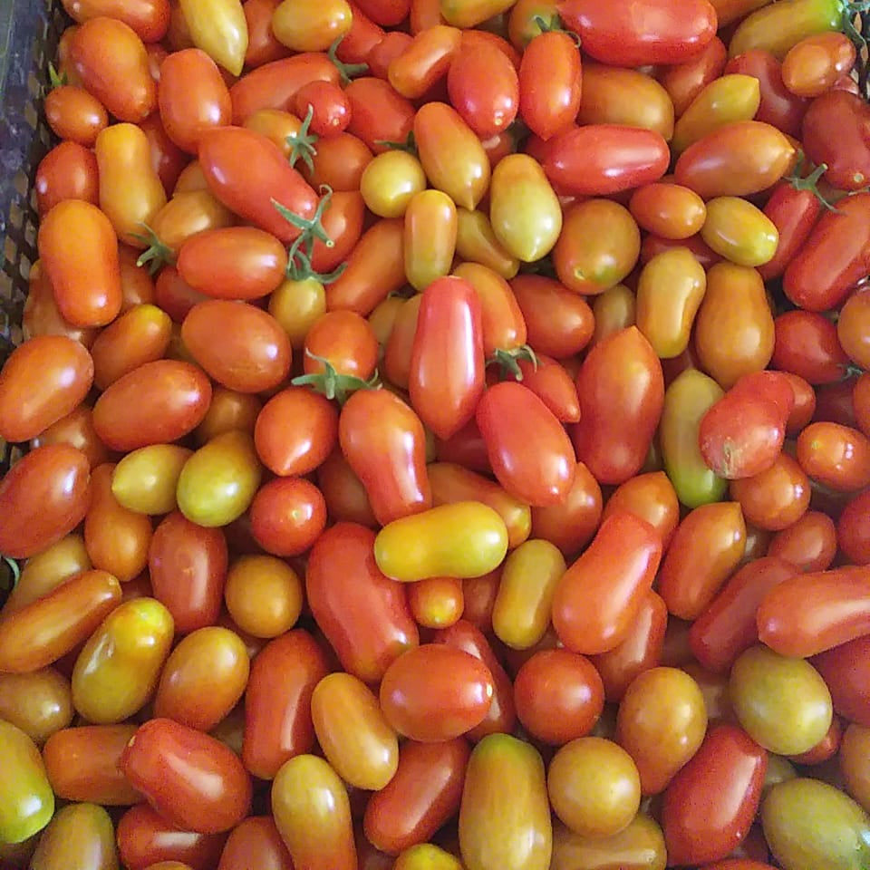 Tomate Cherry (500g)