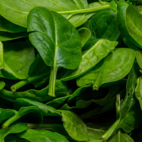 Espinaca (200g)