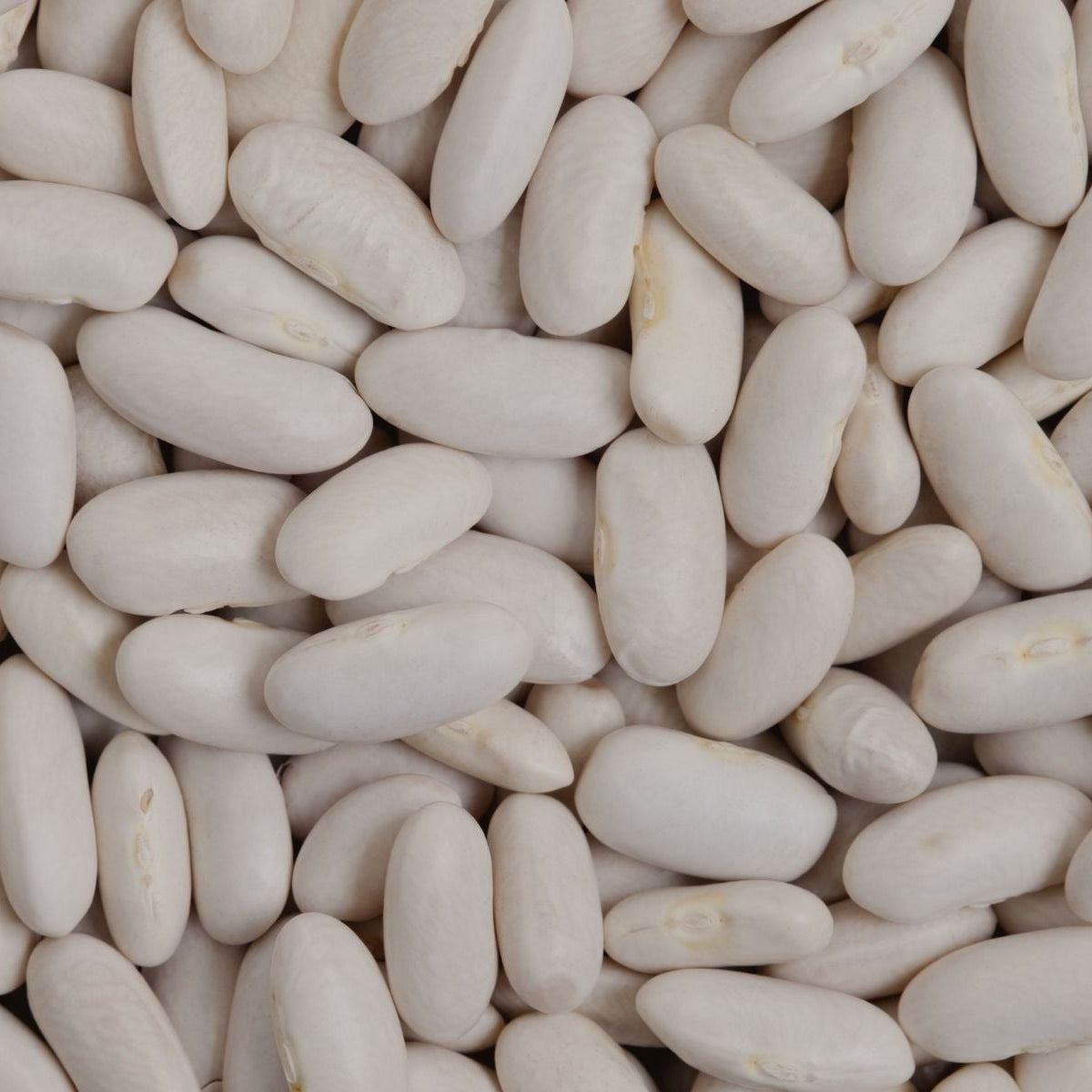 Poroto Tórtola orgánico (500g)