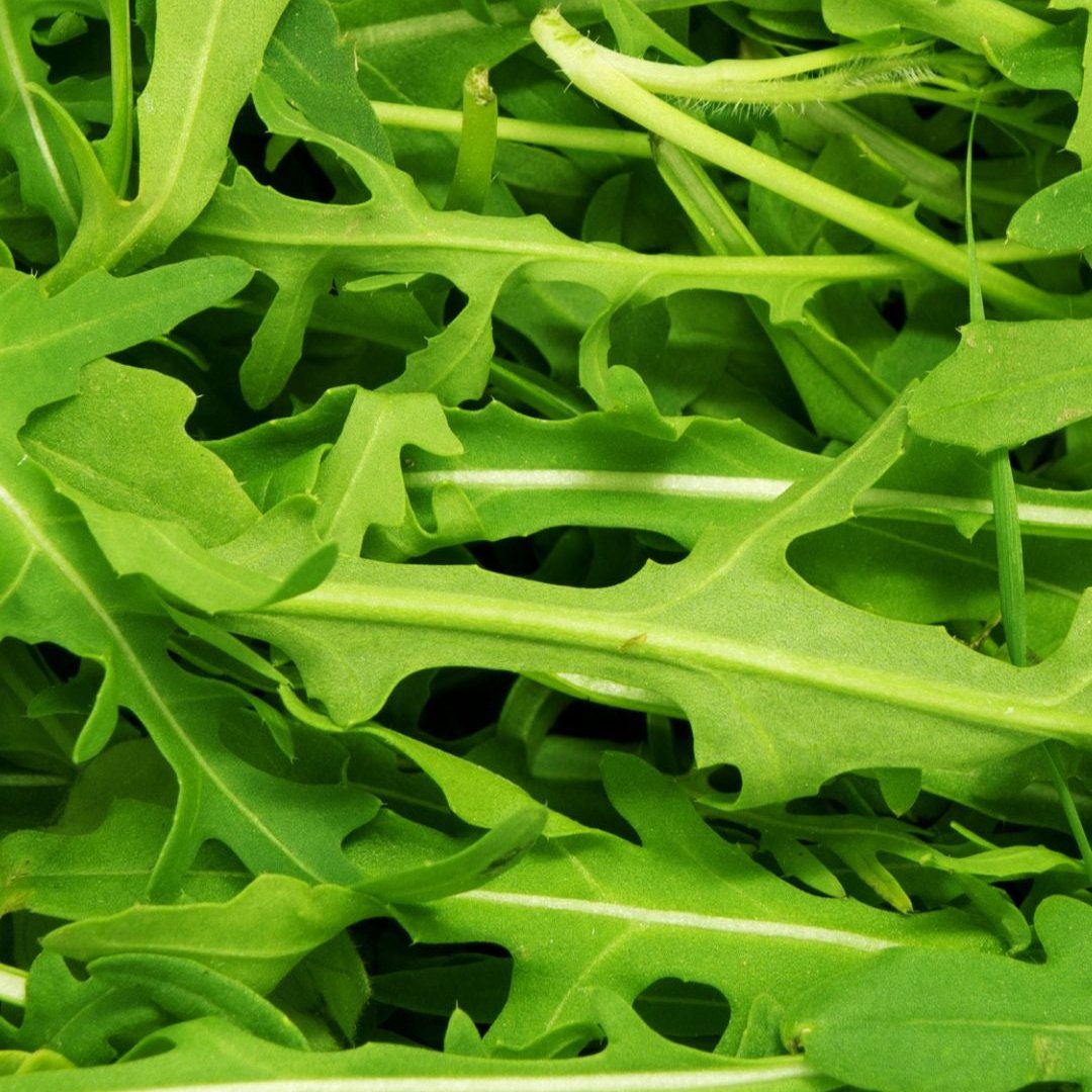 Rúcula (150g)