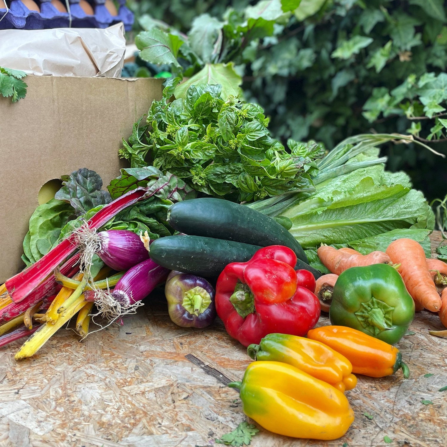 Frutas y Verduras