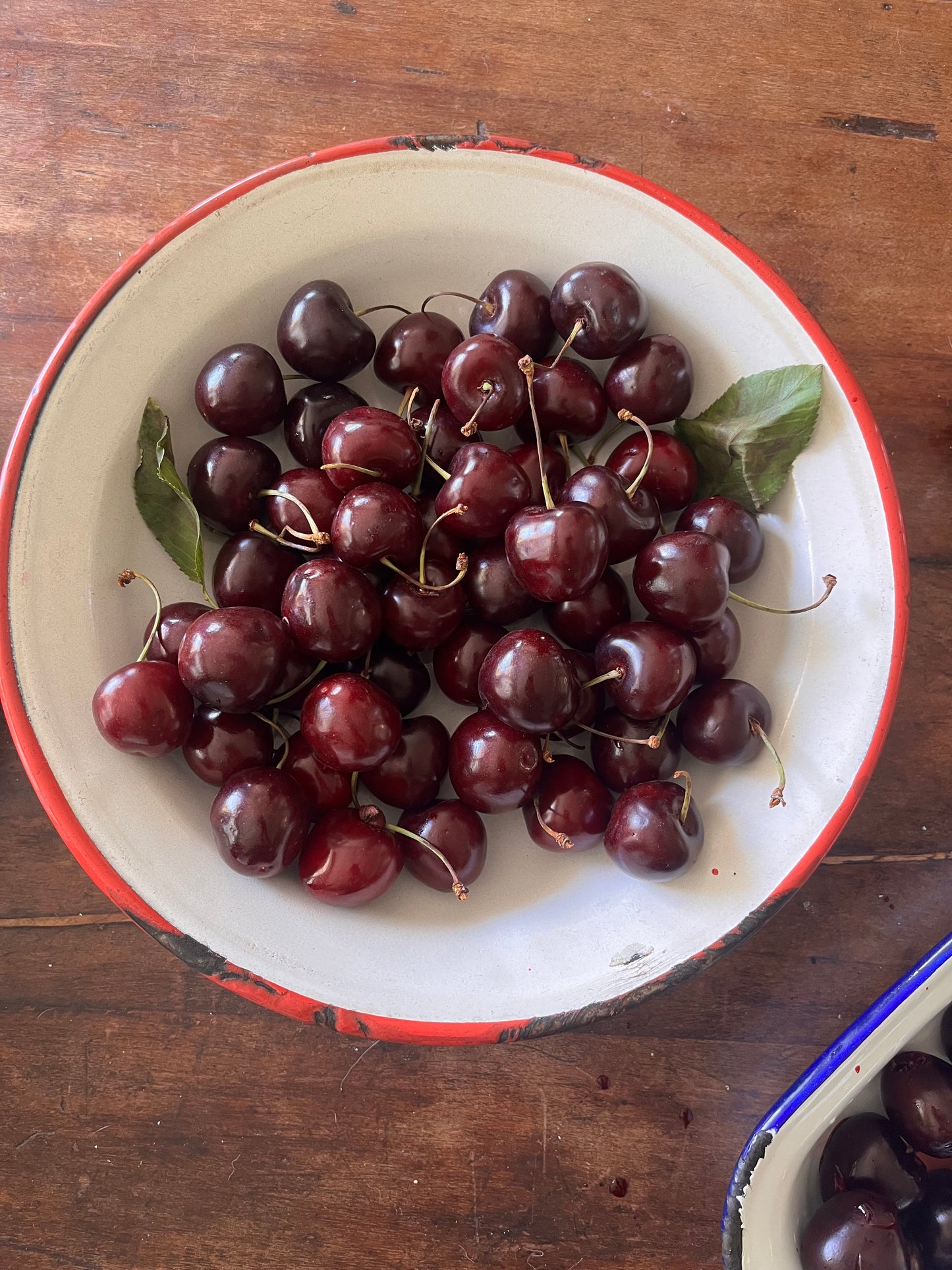 Cherrychomp (8 unidades)