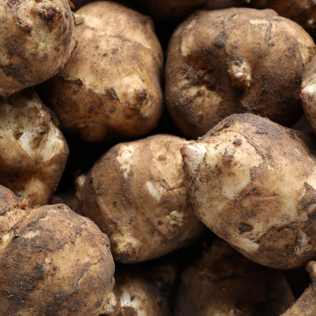 Papa Topinambur (500g)