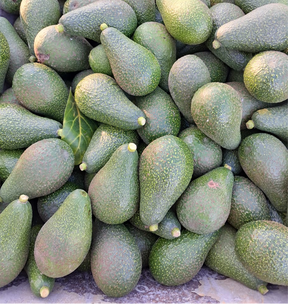 Palta Edranol (1kg)