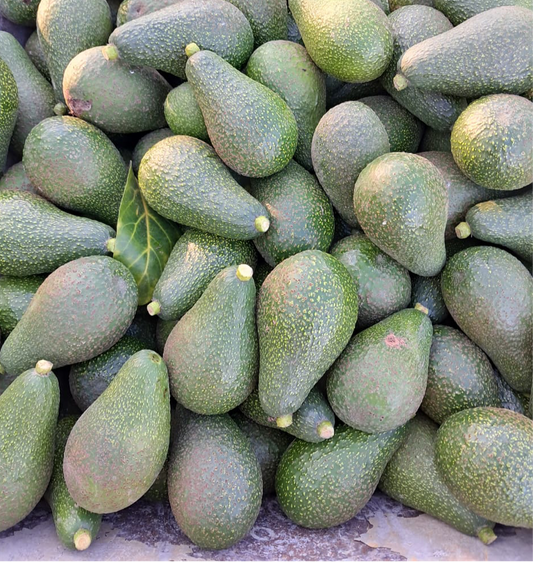 Palta Edranol (1kg)