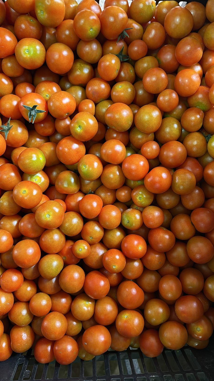 Tomate Cherry (500g)