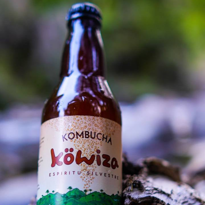 Kombucha Maqui (350g)