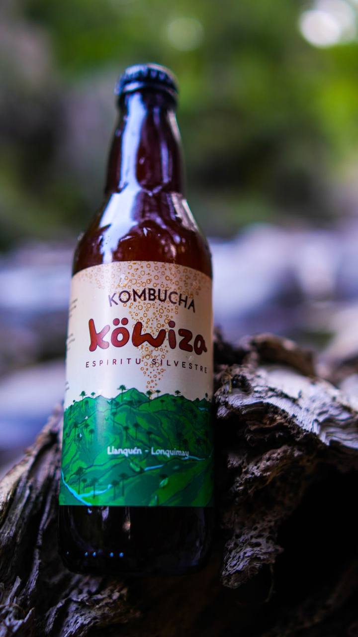 Kombucha Rosa + maqui