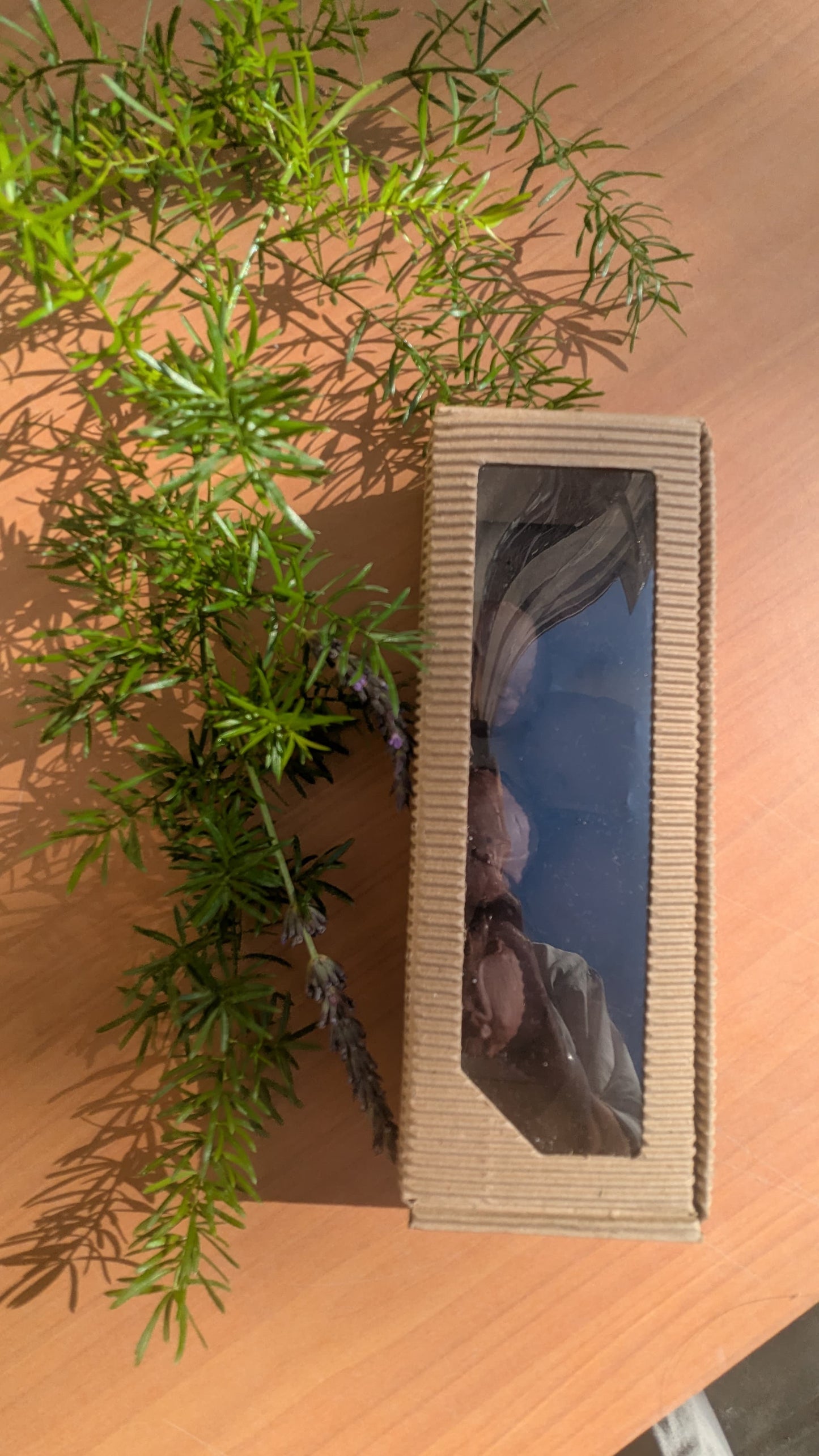 Bombones energía! (7 unidades)