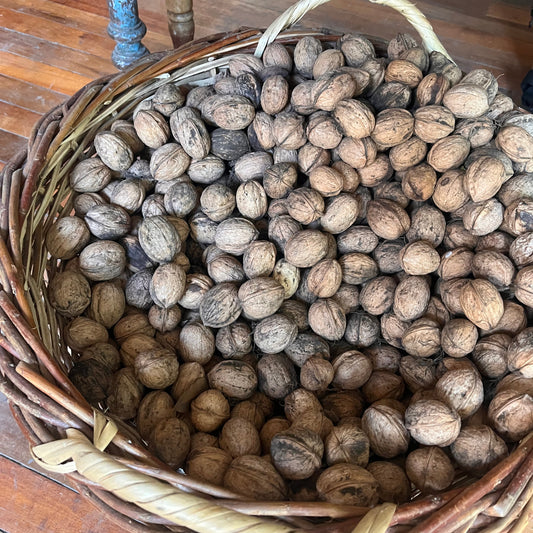 Nuez con cáscara (1kg)