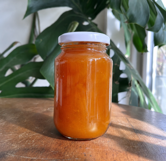 Mermelada Damasco (500g)