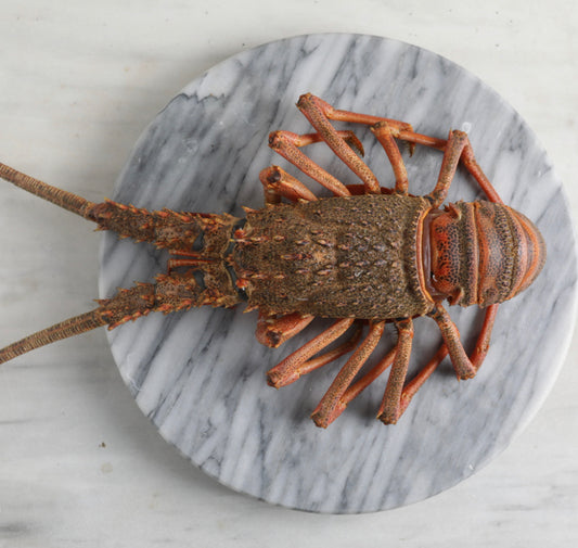 Langosta de Juan Fernández