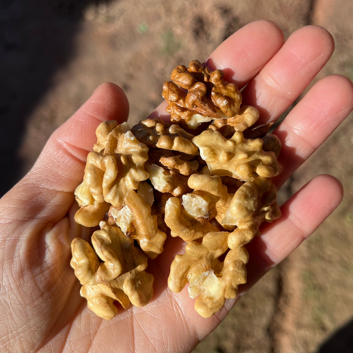 Nuez (250gr)