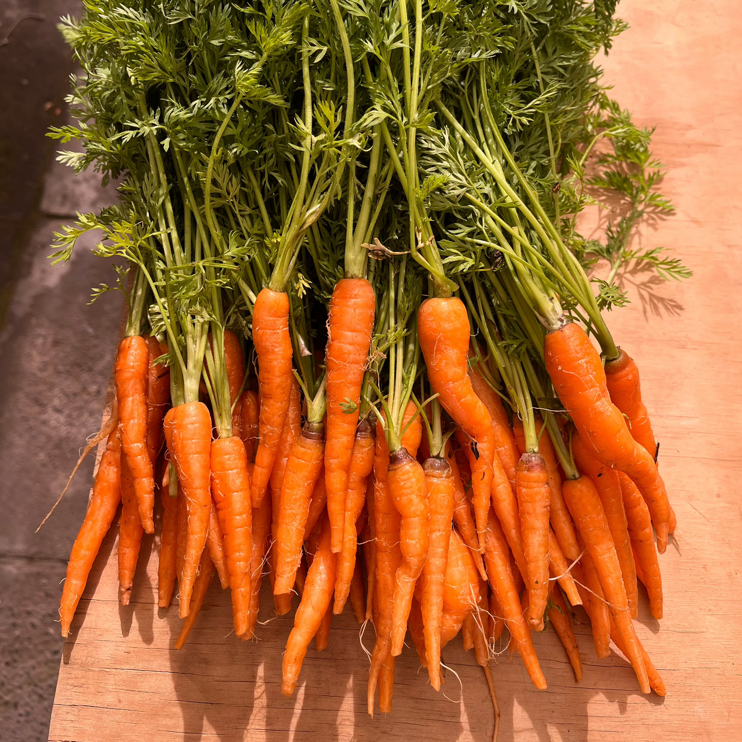 Zanahorias baby (500g)