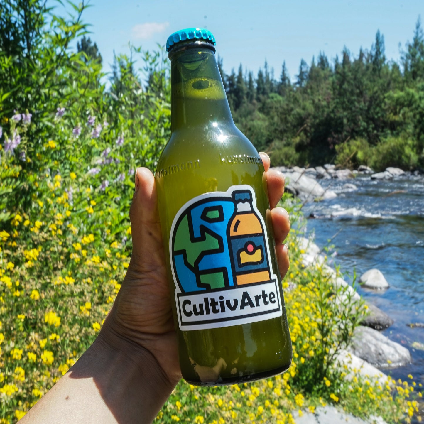 Kombucha Maracuyá/Jengibre (330ml)