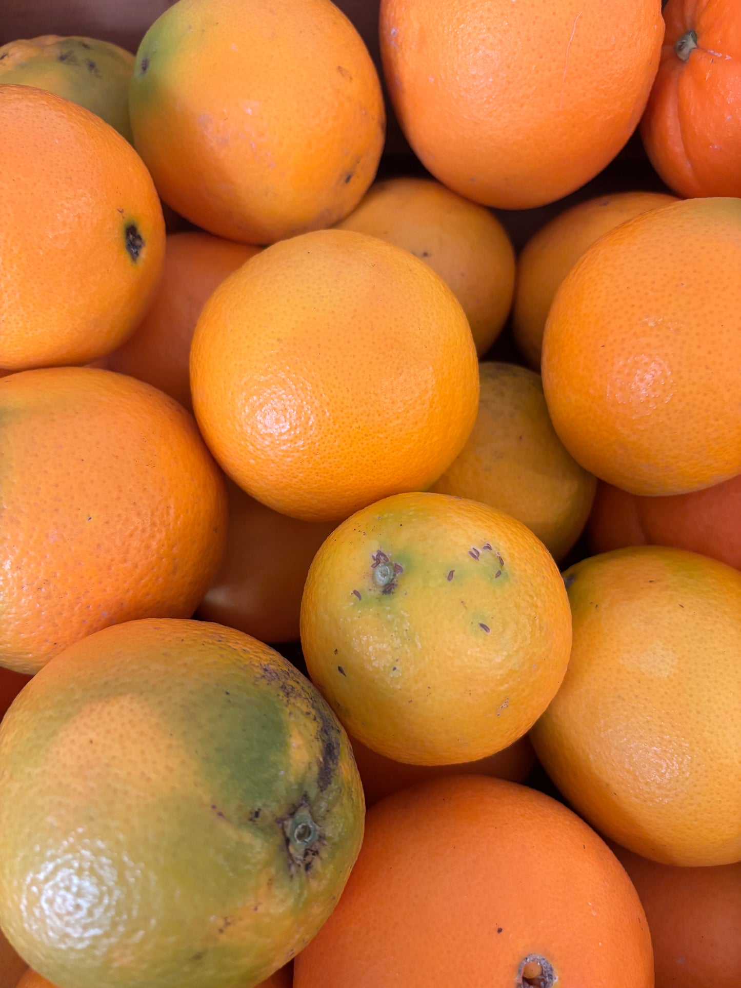 Naranja (1kg)