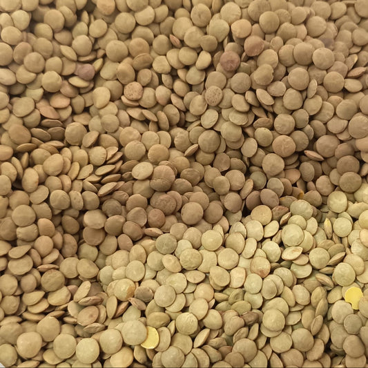 Lentejas orgánicas (500g)