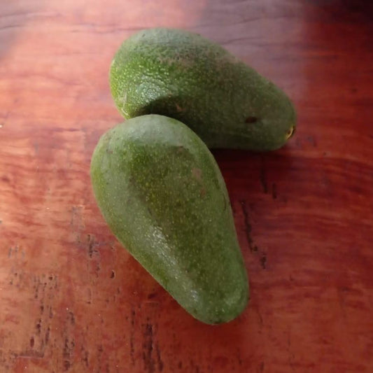 Palta Californiana (1 kg)