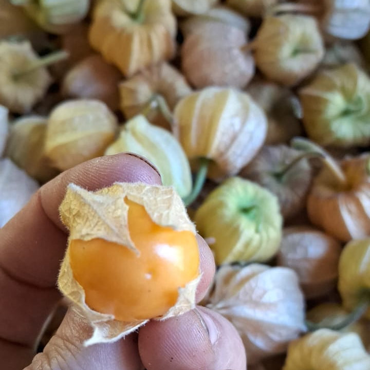 Tuti Fruti de Temporada