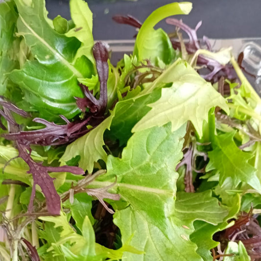 Mix Asiático (250g)