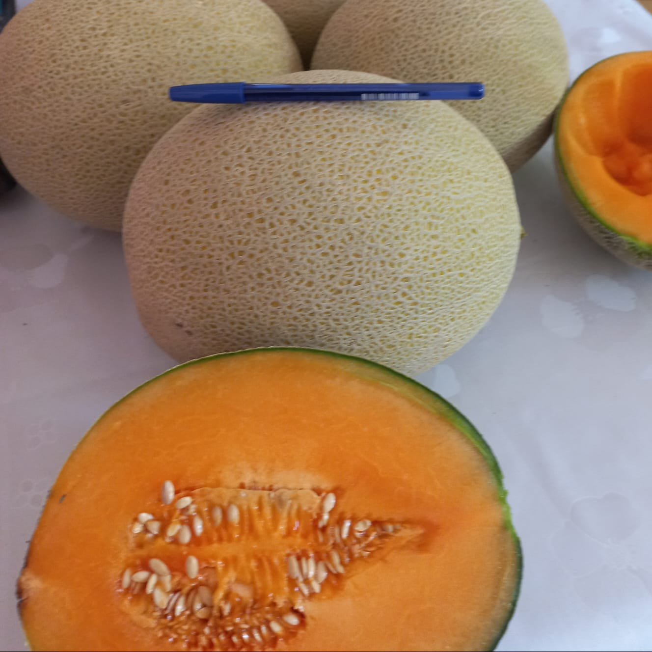 Melón Calameño