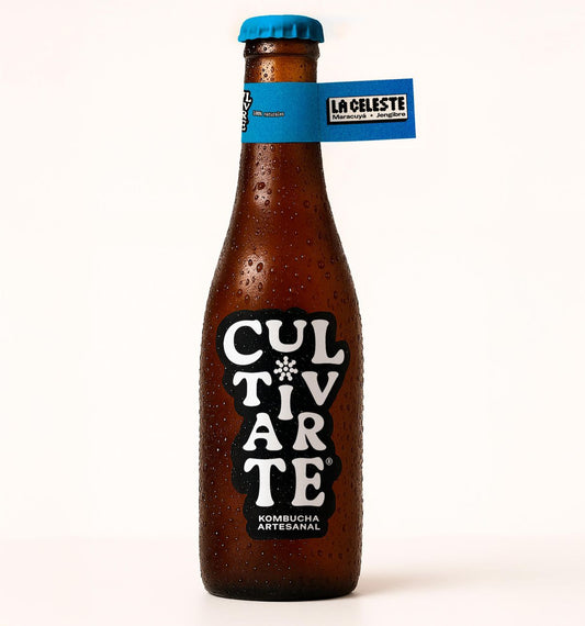 Kombucha Maracuyá/Jengibre (330ml)