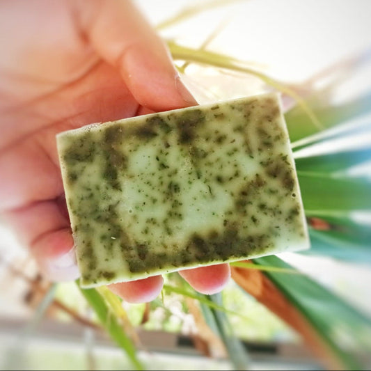 Jabón Menta (100gr)