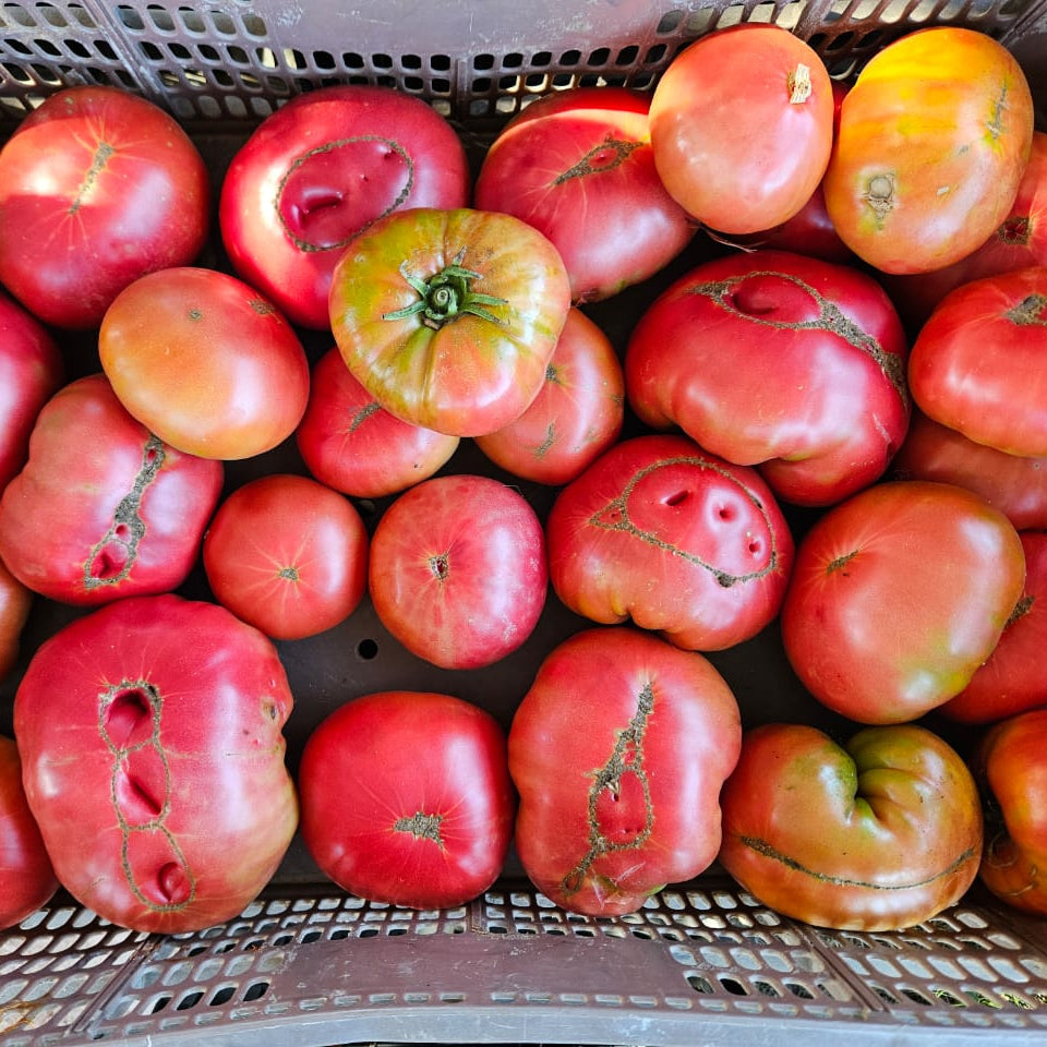 Tomate Rosado (1kg)