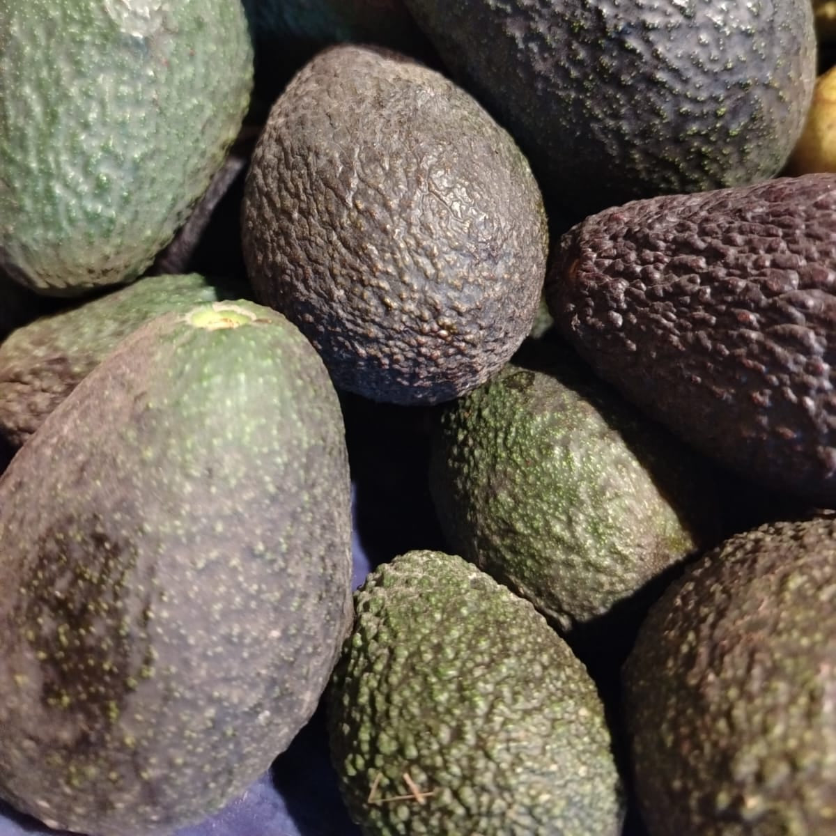 Palta Buena (1 kg)