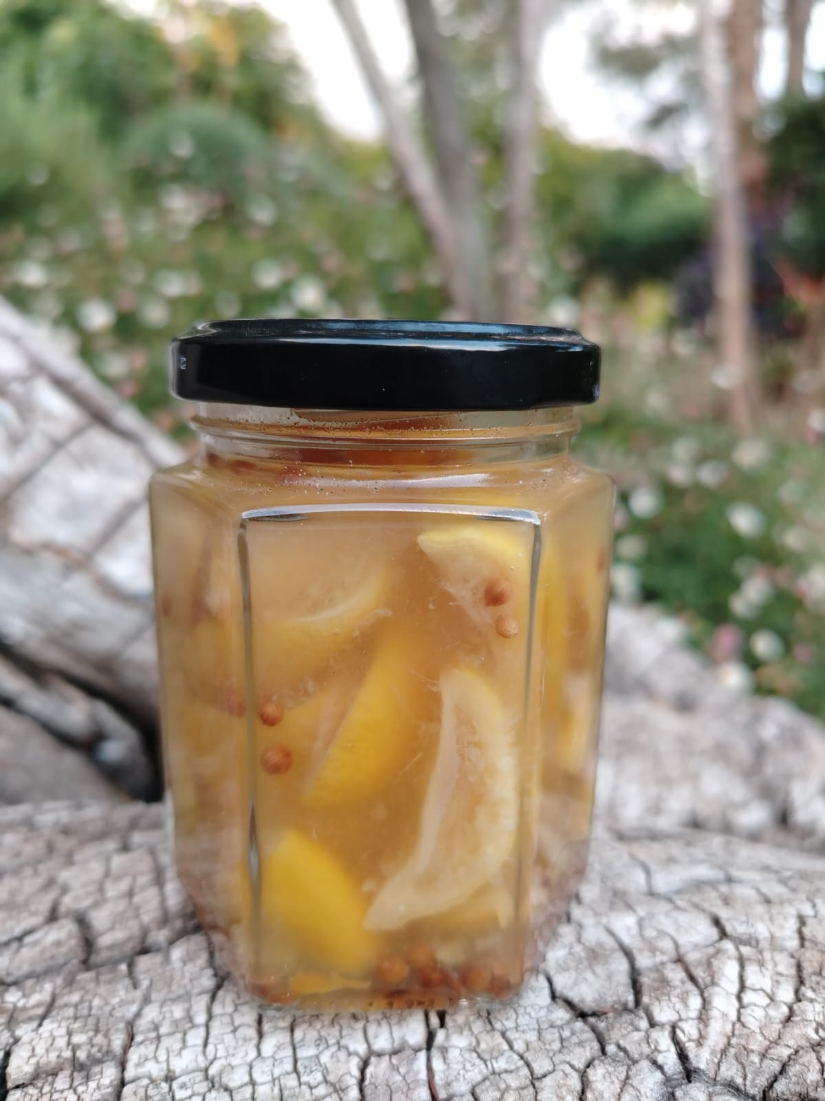 Limones Fermentados