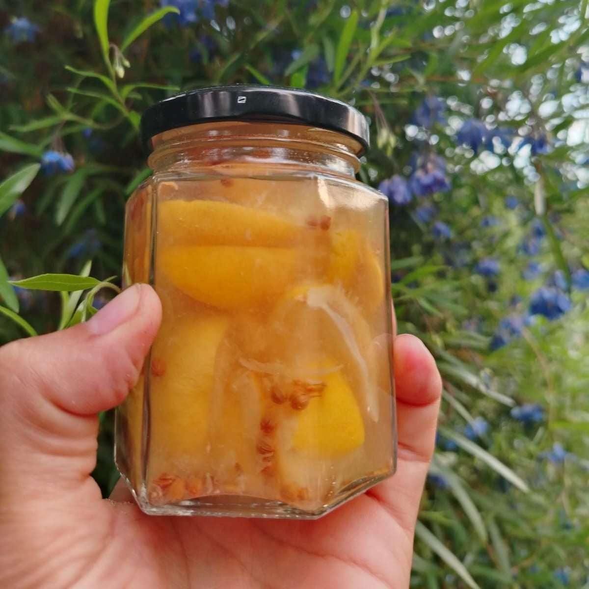 Limones Fermentados