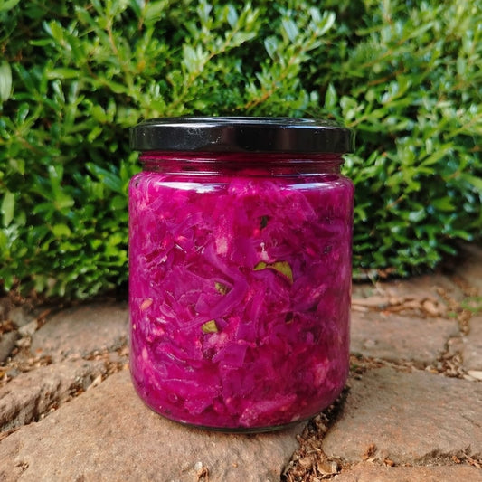 Fermento Repollo Morado (450cc)