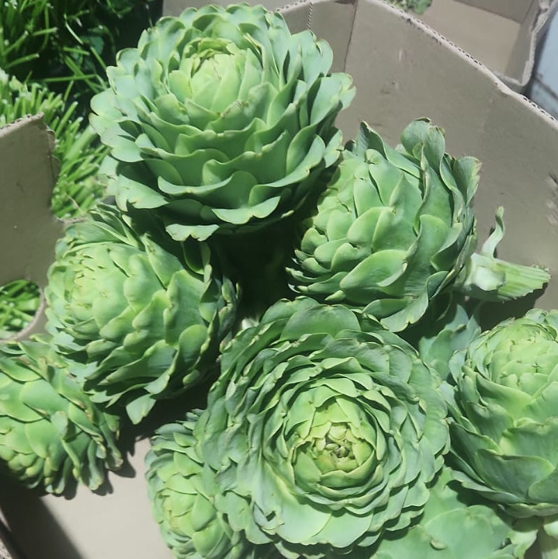 Alcachofa (x4)