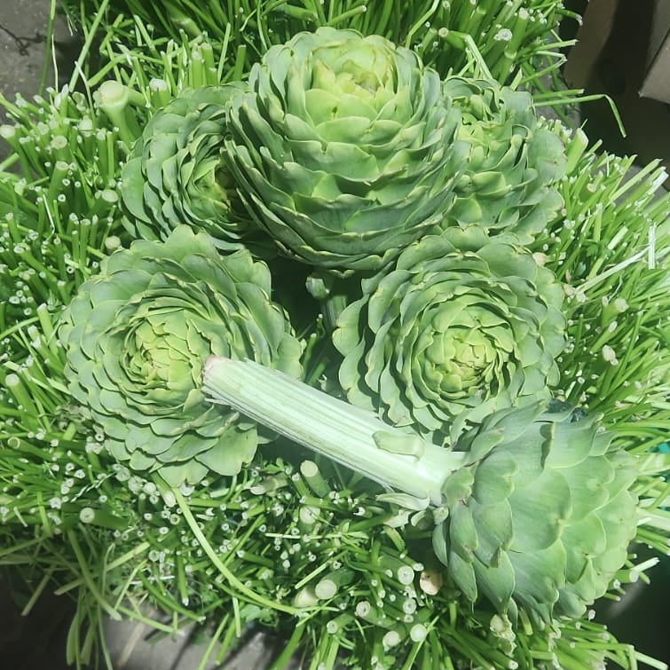 Alcachofa (x4)