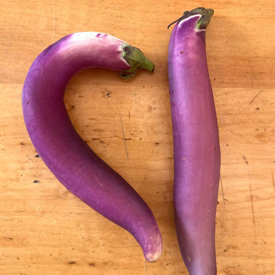 Berenjena Larga (Unidad)