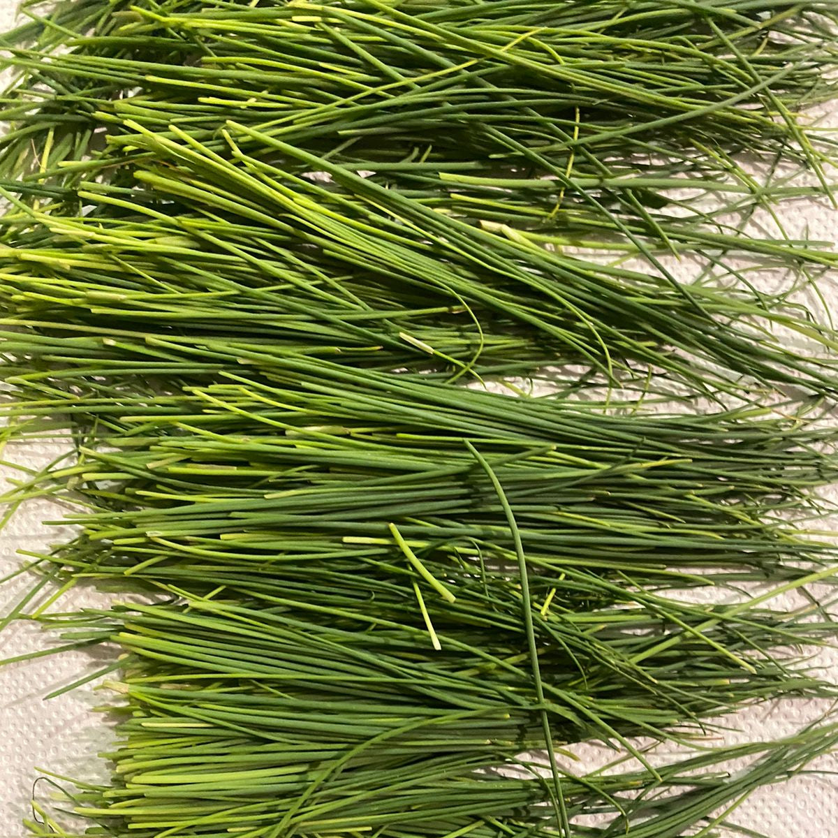 Ciboulette (40g)
