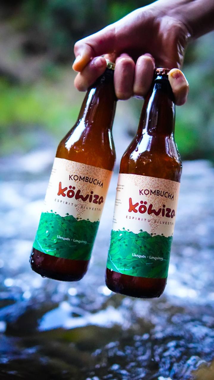 Kombucha Lavanda (350g)