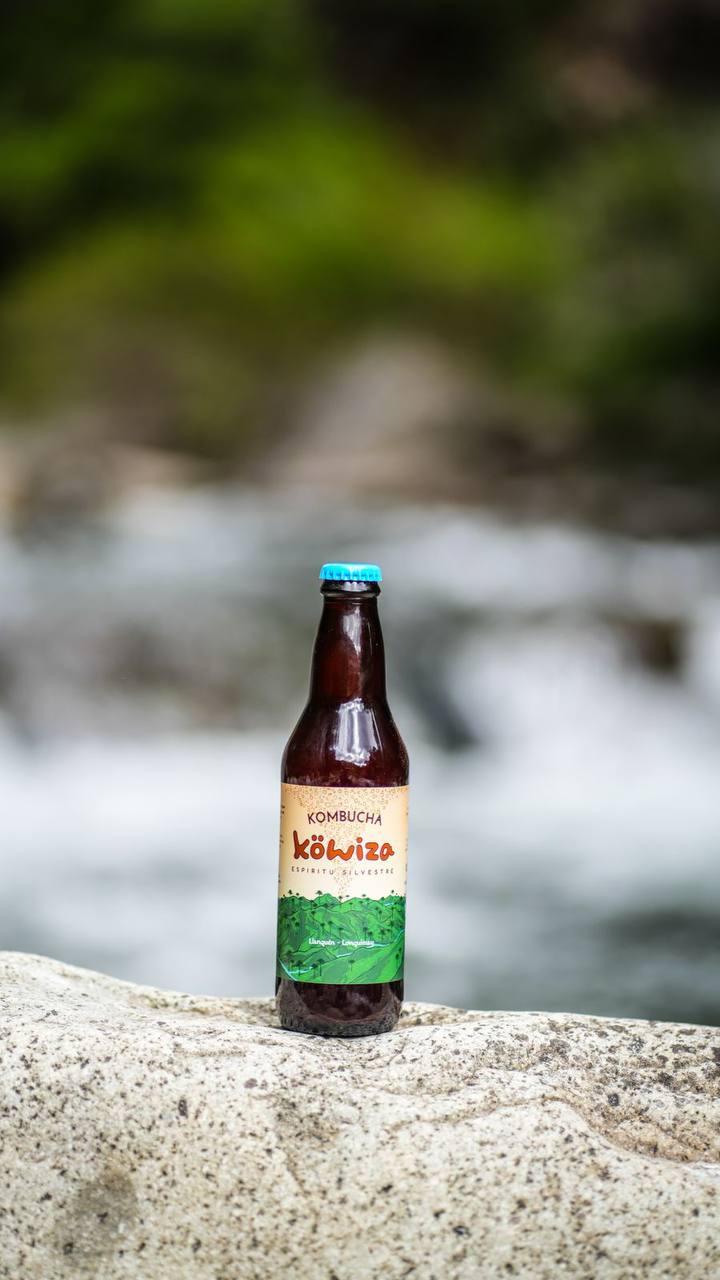 Kombucha Cúrcuma